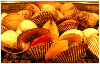 山东潍坊寿光菜博览会宠儿地理标志产品