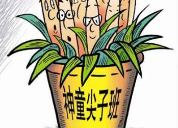 名校早培班调查：是因材施教还是揠苗助长？