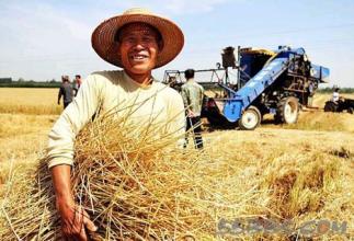 山东临沂 变各自为战为协同作战