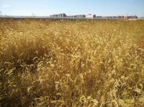 重庆涪陵 想脱贫 到创业园区种菜吧