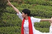 贵州举办茶文化盛会