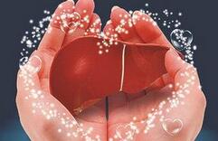 生活中的小妙招 如何保护好你的肝脏