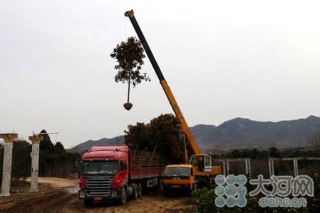 公款签单被拒 岂能打人致死