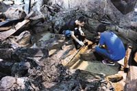 海昏侯刘贺内棺中新发现牙齿