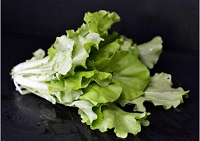 国际空间站宇航员将在太空种植中国小白菜（图）