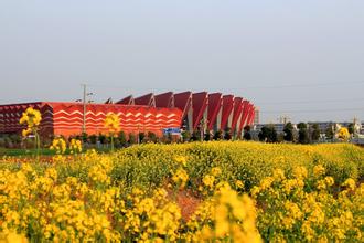 &ldquo;羊春三叶&rdquo;项目对接 粪做树肥 树叶成饲料