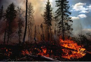 冯家峪森林防火设温度红线
