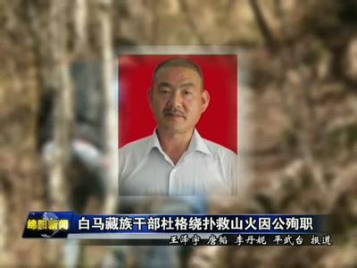 学习杜格绕 实发扬党员模范带头作用