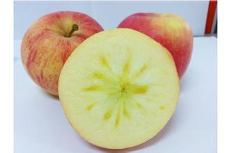 地标保护创新推进引领产业集聚发展