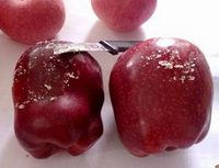 并非所有打蜡水果都对身体有坏处