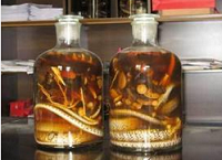 并非所有人都能喝药酒 药酒制作误区