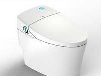 中国智能坐便器发展 任重而道远