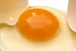 吃对了是世界最好早餐 吃错了便是“鸡飞蛋打”