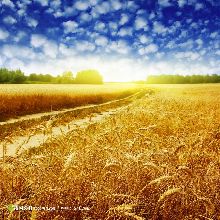 &ldquo;扶贫车间&rdquo;搬到家