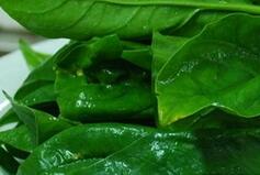 春季怕上火 吃这些准没错