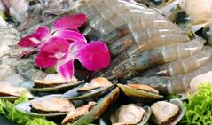 春季最适合吃&ldquo;天下第一鲜&rdquo;-蛤蜊