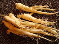 食用人参有禁忌 4种体质不适用