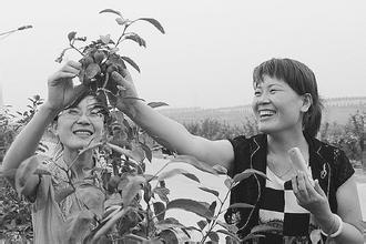 山东临沂兰山开展“双强帮带”行动