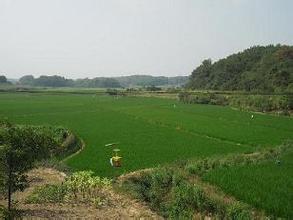 我国耕地面积为 20.25亿亩