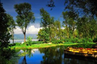 陆昊谈龙江养老服务业发展：突出空气、森林、湿地