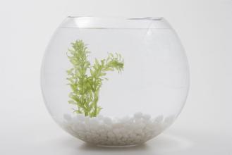 德州重点行业试行冬季错峰生产