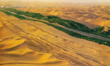 沙漠有树更好看