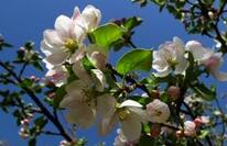 晚春再不做三件事 整个人夏天都难熬