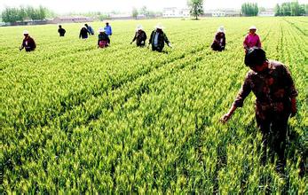 安徽专业服务队“按方抓药”