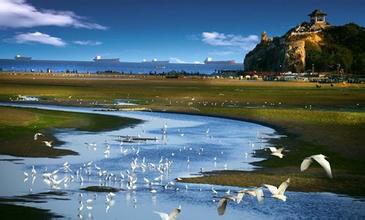 节能减排 邯郸这么干