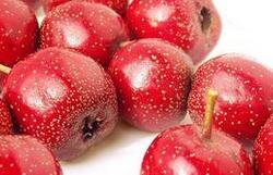 山楂外用治病的5个验方