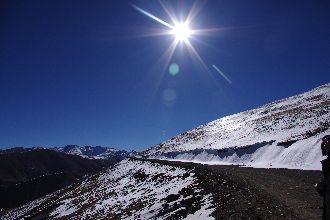 押宝莫斯利安 光明乳业业绩增长乏力