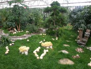 信阳在转型中做强茶产业