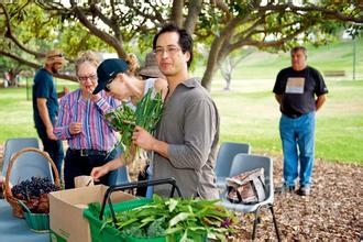 专家地头教城市农夫种田