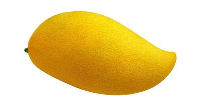 三亚芒果获农业部农产品地理标志登记保护