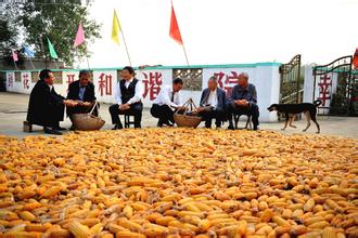 筑牢第一道民生&ldquo;安全网&rdquo;