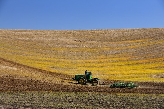 川台合作农业精耕农田