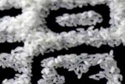 食品安全刻不容缓 ,中国沙米叫板日本大米