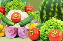 有活菌才是好酵素 酵素美人领衔健康养生市场