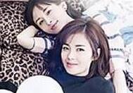 都市女性离不开“精神合租”