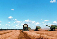 寻找生态美景 废秸秆成金