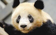 黑眼圈竟能暗示妇科病？你不知道的小秘密