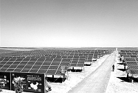 全球最大单体光伏电站将并网发电(图)