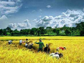 创造精彩人生得从劳动始