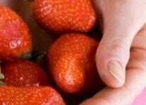 法媒盘点7种最常见的食物过敏