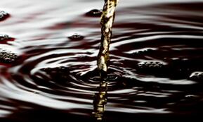 六种酱油的不同用法，你用对了吗?