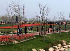 荷兰硕士留学申请的情况讲解