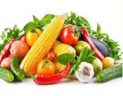 中国绿色食品总部基地在湖南设立产业基地