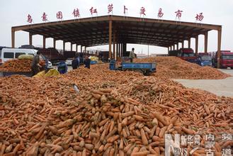 促春耕  内蒙古察右中旗着力化解土地纠纷