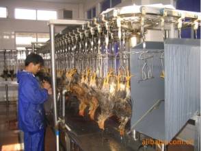 全省检查&ldquo;禽加工&rdquo;生产防控