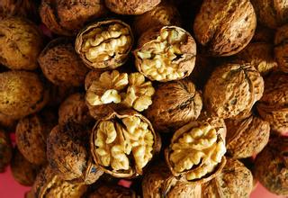 陇州核桃通过陕西省农业厅农产品地理标志鉴评